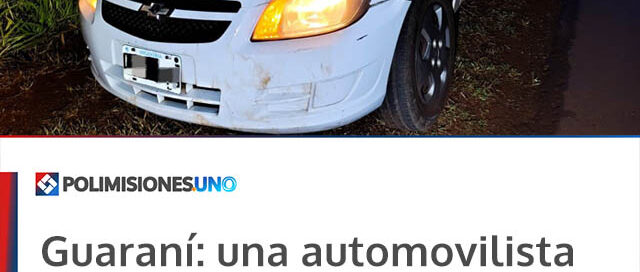 Guaraní: una automovilista chocó contra un caballo sobre la Ruta Nacional 14